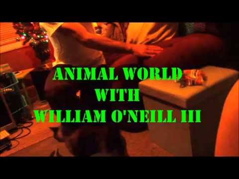 Animal World with William O'Neill III