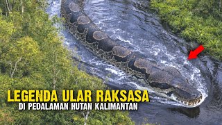 Download lagu 3 Ular Raksasa yang Dipercaya Benar Ada di Pedalaman Hutan Kalimantan? mp3 Download lagu 3 Ular Raksasa yang Dipercaya Benar Ada di Pedalaman Hutan Kalimantan? mp3
