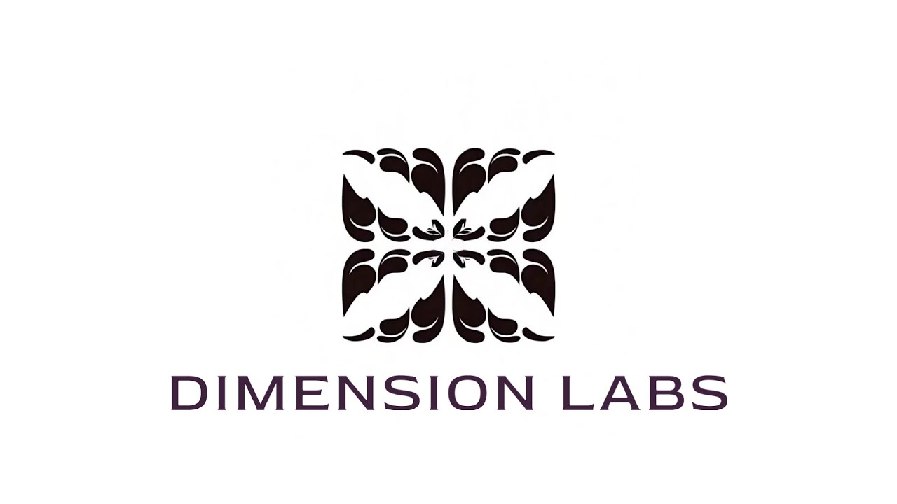 Transform Customer Feedback into Actionable Intelligence | Dimension Labs