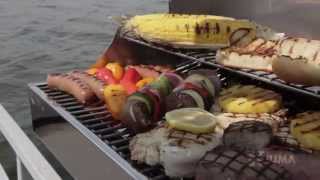 Lowrance HDI Skimmer  83/200 455/800 T/M Transducer - Works w/Elite-7 Combo