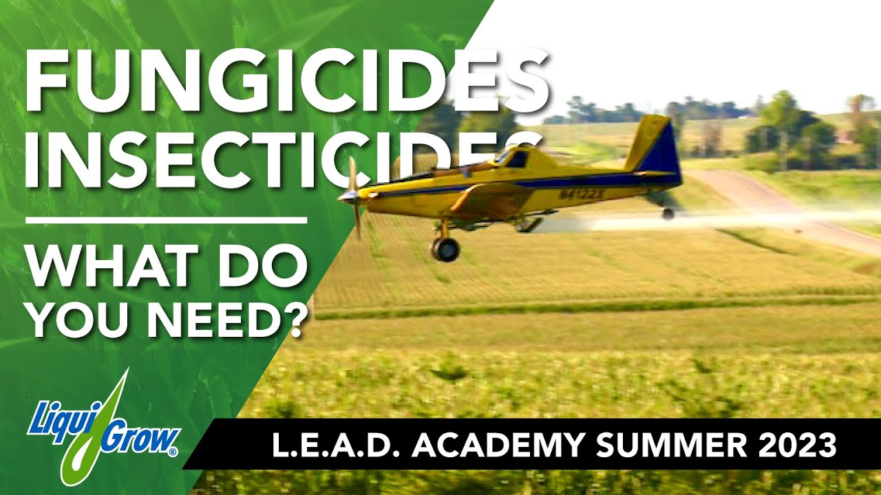 Fungicides for Stressed Corn & Soybeans: How to Get the Best Performance after a Dry Spring