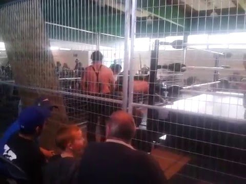 VIPW: Chamber of Extreme - BJ Laredo & Scott Steel vs. The Wisemen