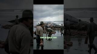 Oregon’s Wild Whale Explosion 1970: What Went Wrong? #shorts #thetwistedhistory#funnyhistory