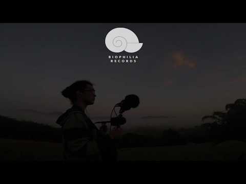 This Land Abounds with Life by Fabian Almazan