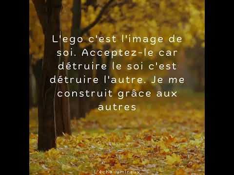 Le Voyage de la Conscience de Soi