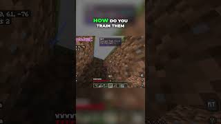 You can Train Dragons in this Minecraft Addon! #shorts