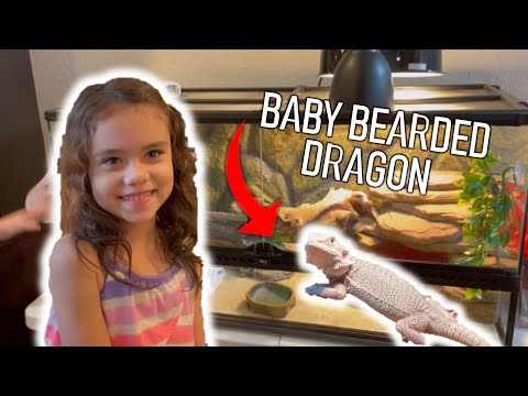 BABY BEARDED DRAGON UNBOXiNG!! Setting up new cage!  Drive to get dragon and feeding our new pet!