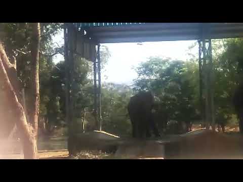 POOJITHA MOBILES  ,ZOO PARK  TIRUPATI (3)