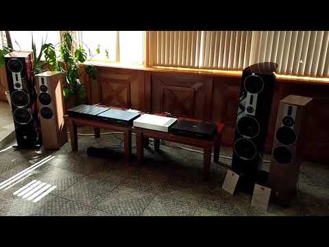 Акустика   DALI RUBICON 6