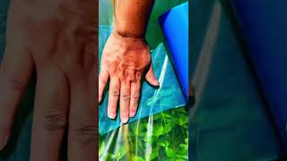 Download lagu Inovasi sederhana plastik magic untuk menambal atap greenhouse yang berlubang #shorts mp3 Download lagu Inovasi sederhana plastik magic untuk menambal atap greenhouse yang berlubang #shorts mp3