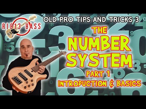 Rib13 Bass - The Number System (Part 1 Introduction and Basics) #bass #guitar #studio #music