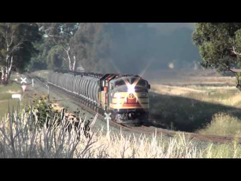 S313 T357 333 Y145 T378 on 9062 Myers Flat.  30.12.10.