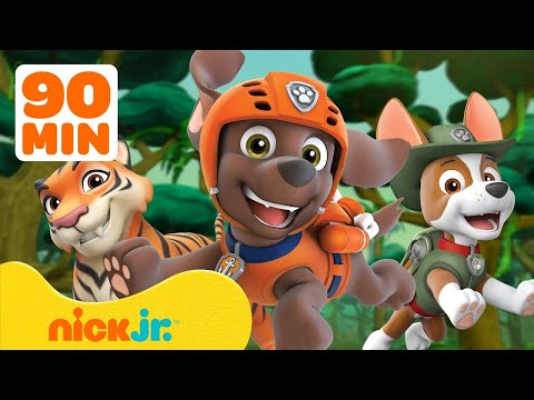 PAW Patrol rettet Tierbabys! 🐯 90 Min mit Zuma & Tracker | Nick Jr. Deutschland