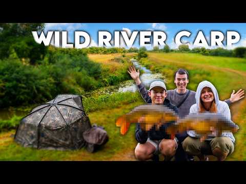 Beneath The Pads - A Wild Carp Mission!