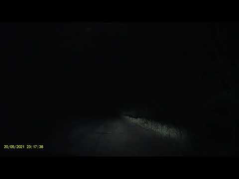 Dlaczego nie warto jeździć szybko w nocy przez las