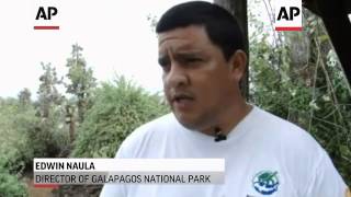 Galapagos tortoise Lonesome George dies