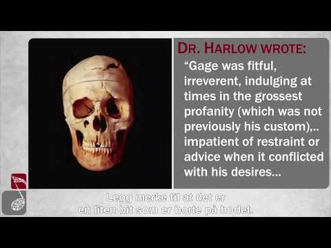 Distraction Dilemma - 2 - Opus.Er musikken farlig for vores sind? - Christian Berdahl