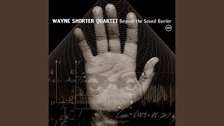 Adventures Aboard The Golden Mean