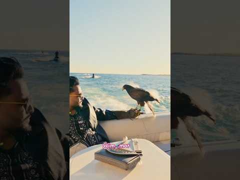 Reel tagged #shortvideo