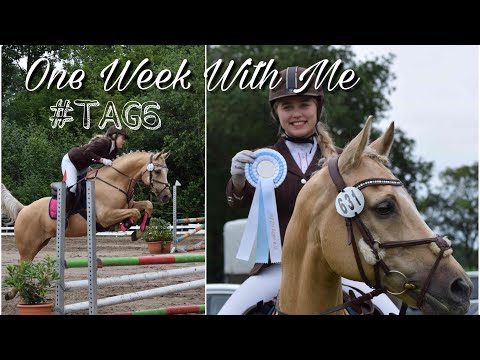 Turnier Apen/3.Platz im Springen