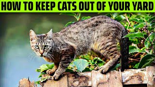 How To Keep Cats Out Of Your Yard
