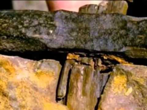 140 Millionen Jahre alter Hammer