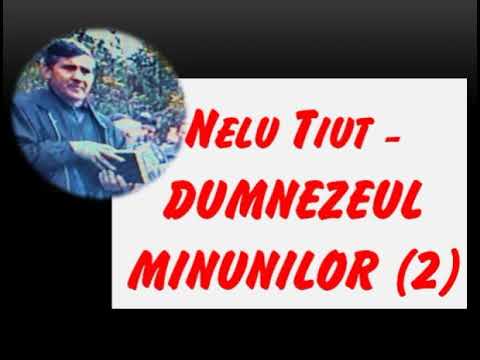 📖Nelu Tiut MARTURII (2) - Dumnezeul minunilor (partea II)