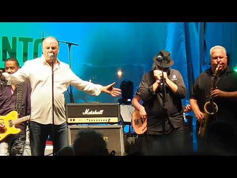 The Legendary Downchild Blues Band