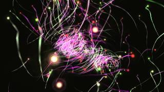 Shell Suite - Chad Valley