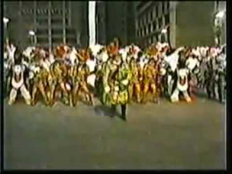 1987 Broomall String Band - Zoo Revue