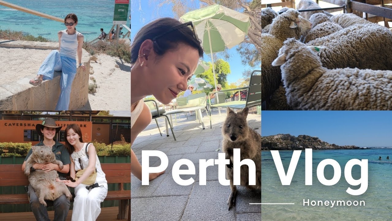 パースVLOG | 新婚旅行締めくくりは動物と触れ合い、リッツ泊まって、豪華ご飯も🇦🇺🐨そしてハエにたかられた。