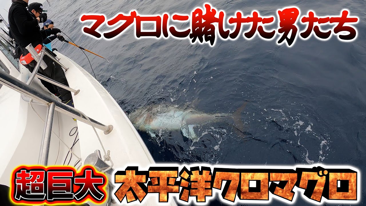 遂に超巨大マグロが釣り上がる！！【太平洋】
