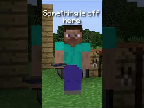 Steve ends up in WRONG Minecraft world?!
