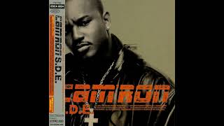 Cam'ron - What Means the World To You