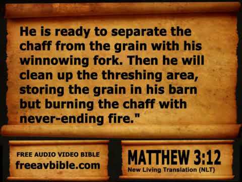NLT Audio Bible - Matthew, Mark, Luke, John