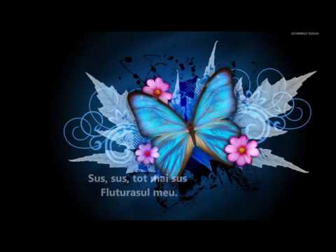 Cantece pentru copii  Fluturasul meu superb cu versuri 1