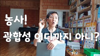 광합성 알고나면 농사가 잘될까?