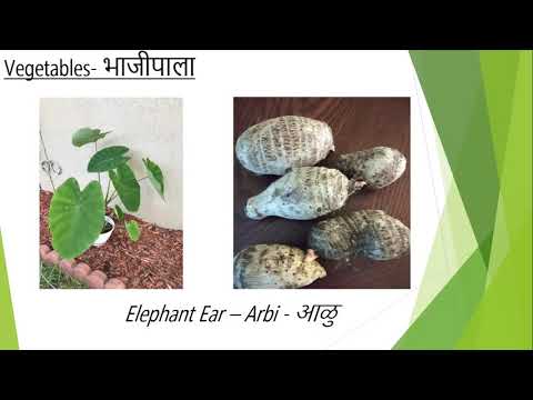 Gardening Shobhana and Prachiti