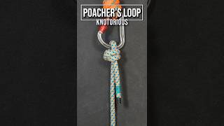 World's Best TERMINATION KNOT (Poacher's Knot) #knot #treeclimbing #climbing #knots #arborist #rope