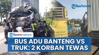 Kronologi Kecelakaan Maut Bus Adu Banteng Vs Truk Boks di Situbondo: Ayah dan Anak Tewas, Ibu Kritis