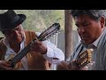 Bonny Alberto Terán DONATA Yapitas De Charangos De Bolivia Con Alfredo Coca Y Wilson Terrazas