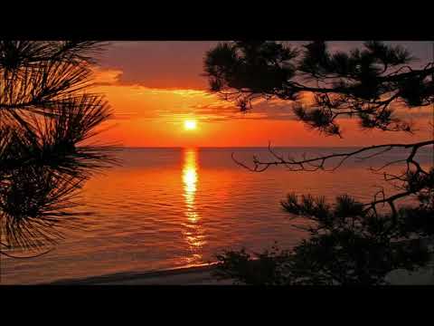 Christos Fourkis & Roni Iron ft Charitini - I Need Your Love (Original Mix)