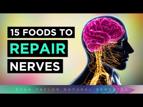 Top 15 Foods To REPAIR Your NERVES (Neuropathy)