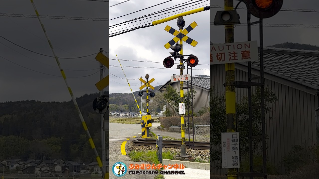 【踏切 電車】なにが通るかな？？？【ふみきりショート動画254】  #shorts