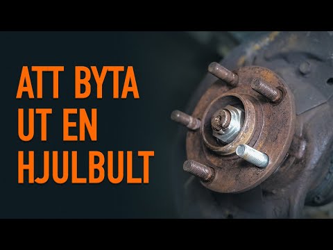 Så byter du ut en hjulbult | AUTODOC tipsar