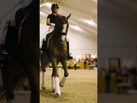 Zu Gast bei Helgstrand USA in Wellington, Florida