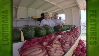 preview picture of video 'Vidalia's Sweet Corn Stand (2006)'