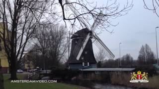 preview picture of video 'Buddy Grillbar & Windmill Slotermeer (3.22.13 - Day 995)'