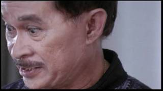 IN THE NAME OF THE GODFATHER