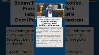 Potensi Disalahgunakan, BNN Tetap Awasi Peredaran Whip Pink meski Belum Diatur sebagai Narkotika